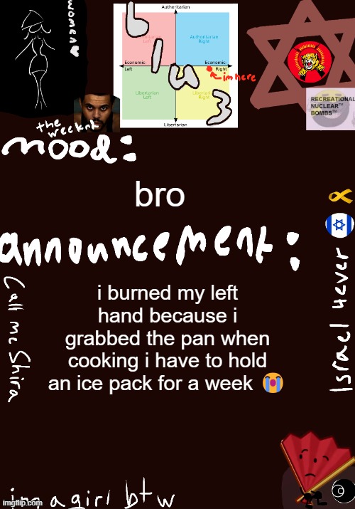 :( | bro; i burned my left hand because i grabbed the pan when cooking i have to hold an ice pack for a week 😭 | image tagged in blu3 s shira temp | made w/ Imgflip meme maker