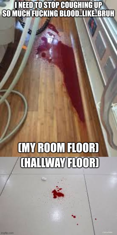 I NEED TO STOP COUGHING UP SO MUCH FUCKING BLOOD..LIKE..BRUH; (MY ROOM FLOOR); (HALLWAY FLOOR) | made w/ Imgflip meme maker