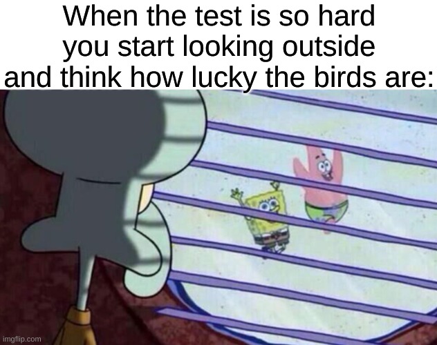 then you start looking at what past generations wrote on the desk | When the test is so hard you start looking outside and think how lucky the birds are: | image tagged in spongebob looking out window,memes,funny,relatable,school | made w/ Imgflip meme maker