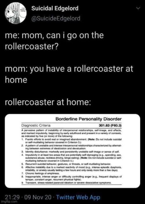 This little life | image tagged in bpd,roller coaster,up and down | made w/ Imgflip meme maker