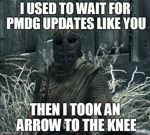 SkyrimGuard | I USED TO WAIT FOR PMDG UPDATES LIKE YOU THEN I TOOK AN ARROW TO THE KNEE | image tagged in skyrimguard | made w/ Imgflip meme maker