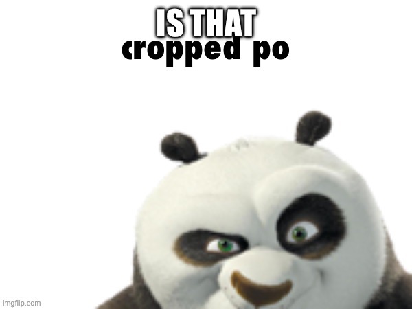cropped po | IS THAT | image tagged in cropped po | made w/ Imgflip meme maker