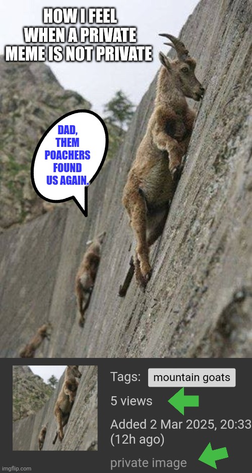 Mountain goats | HOW I FEEL WHEN A PRIVATE MEME IS NOT PRIVATE; DAD, THEM POACHERS FOUND US AGAIN. | image tagged in mountain goats | made w/ Imgflip meme maker