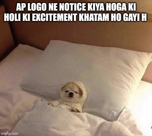 Dog in bed sleeping | AP LOGO NE NOTICE KIYA HOGA KI HOLI KI EXCITEMENT KHATAM HO GAYI H | image tagged in dog in bed sleeping | made w/ Imgflip meme maker