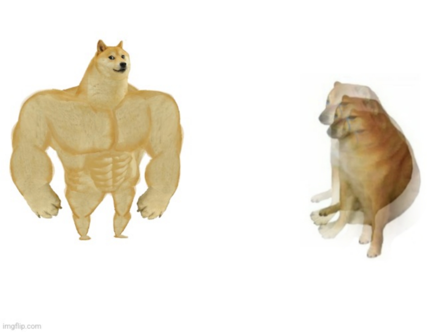 Buff Dodge vs. ADHD Cheems Blank Meme Template