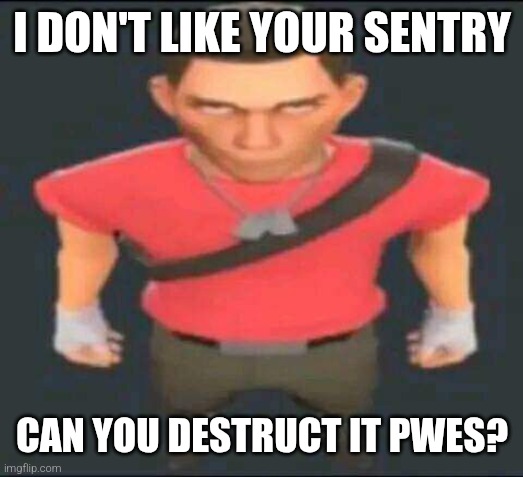 Scout said so | I DON'T LIKE YOUR SENTRY; CAN YOU DESTRUCT IT PWES? | image tagged in bro,tf2 memes,don't repost without my permission,idk | made w/ Imgflip meme maker