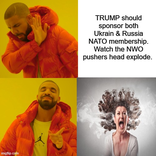 Checkmate. your move. | TRUMP should sponsor both Ukrain & Russia NATO membership. Watch the NWO pushers head explode. | image tagged in memes,drake hotline bling | made w/ Imgflip meme maker