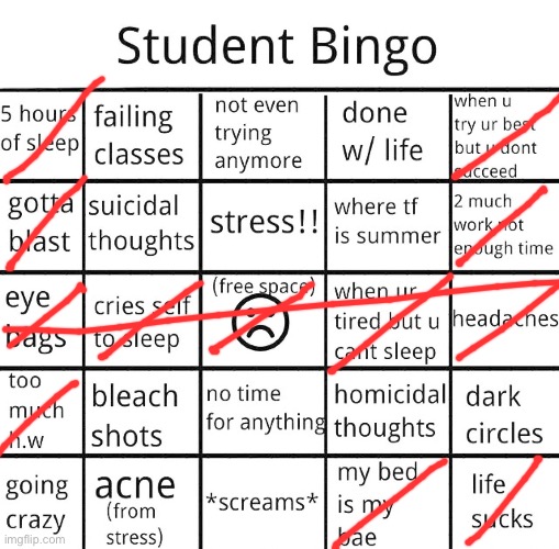 student bingo | image tagged in student bingo | made w/ Imgflip meme maker