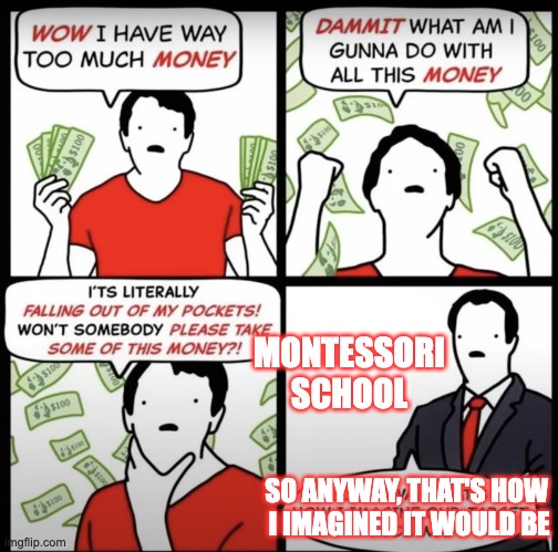 This is how I imagined it | MONTESSORI
SCHOOL; SO ANYWAY, THAT'S HOW 
I IMAGINED IT WOULD BE | image tagged in money | made w/ Imgflip meme maker