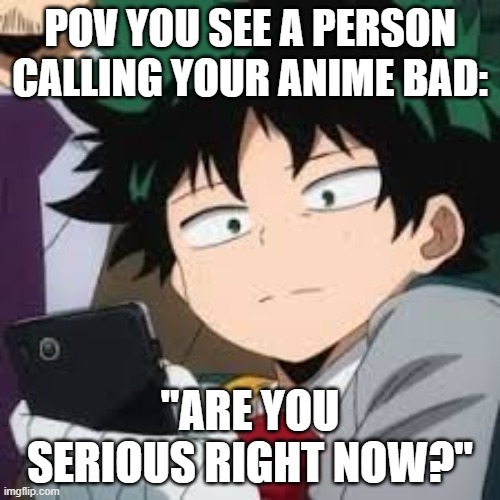 Don't hate every anime bro its your opinion | POV YOU SEE A PERSON CALLING YOUR ANIME BAD:; "ARE YOU SERIOUS RIGHT NOW?" | image tagged in deku dissapointed | made w/ Imgflip meme maker