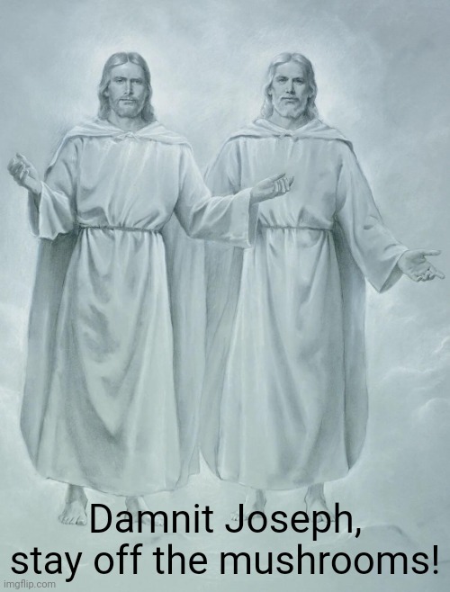 Joseph's Vision? | Damnit Joseph, stay off the mushrooms! | image tagged in god and jesus | made w/ Imgflip meme maker