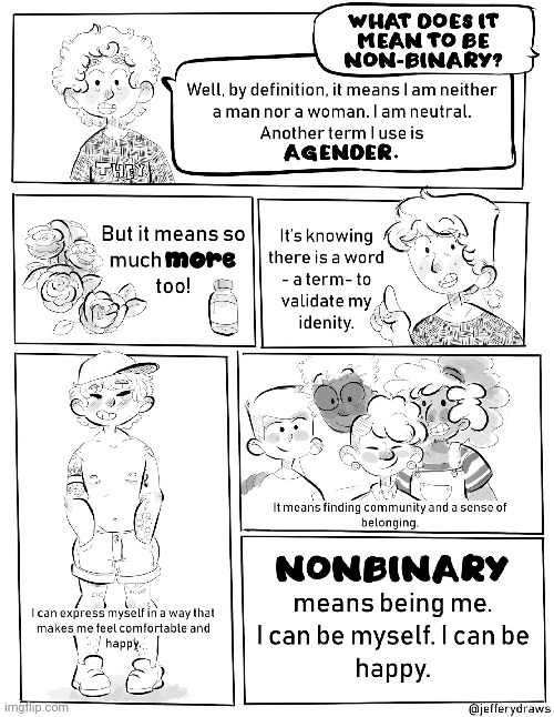 Comic by Jeffrey Kingsley. | image tagged in non binary,lgbt | made w/ Imgflip meme maker