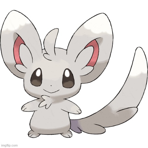 Minccino | image tagged in minccino | made w/ Imgflip meme maker