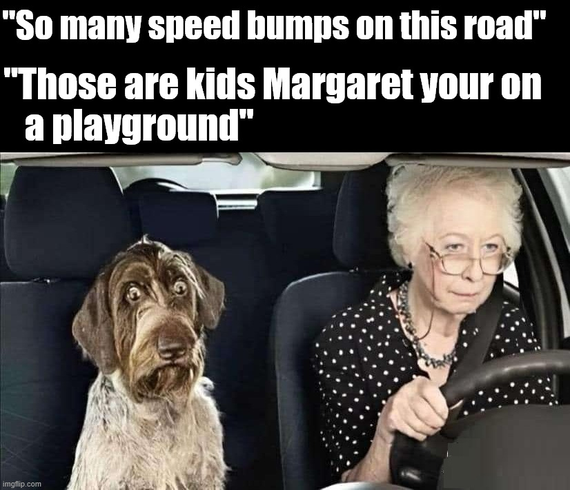 Speed bumps are screaming | "So many speed bumps on this road"; "Those are kids Margaret your on 
   a playground" | image tagged in dark humor | made w/ Imgflip meme maker