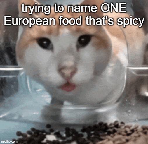 Mr Shock stare | trying to name ONE European food that's spicy | image tagged in mr shock stare | made w/ Imgflip meme maker