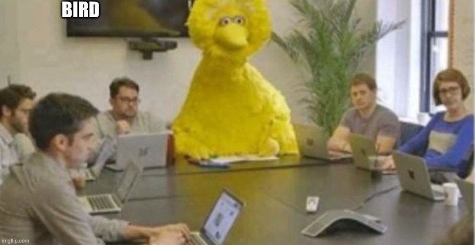 Big Bird at Meeting | BIRD | image tagged in big bird at meeting | made w/ Imgflip meme maker