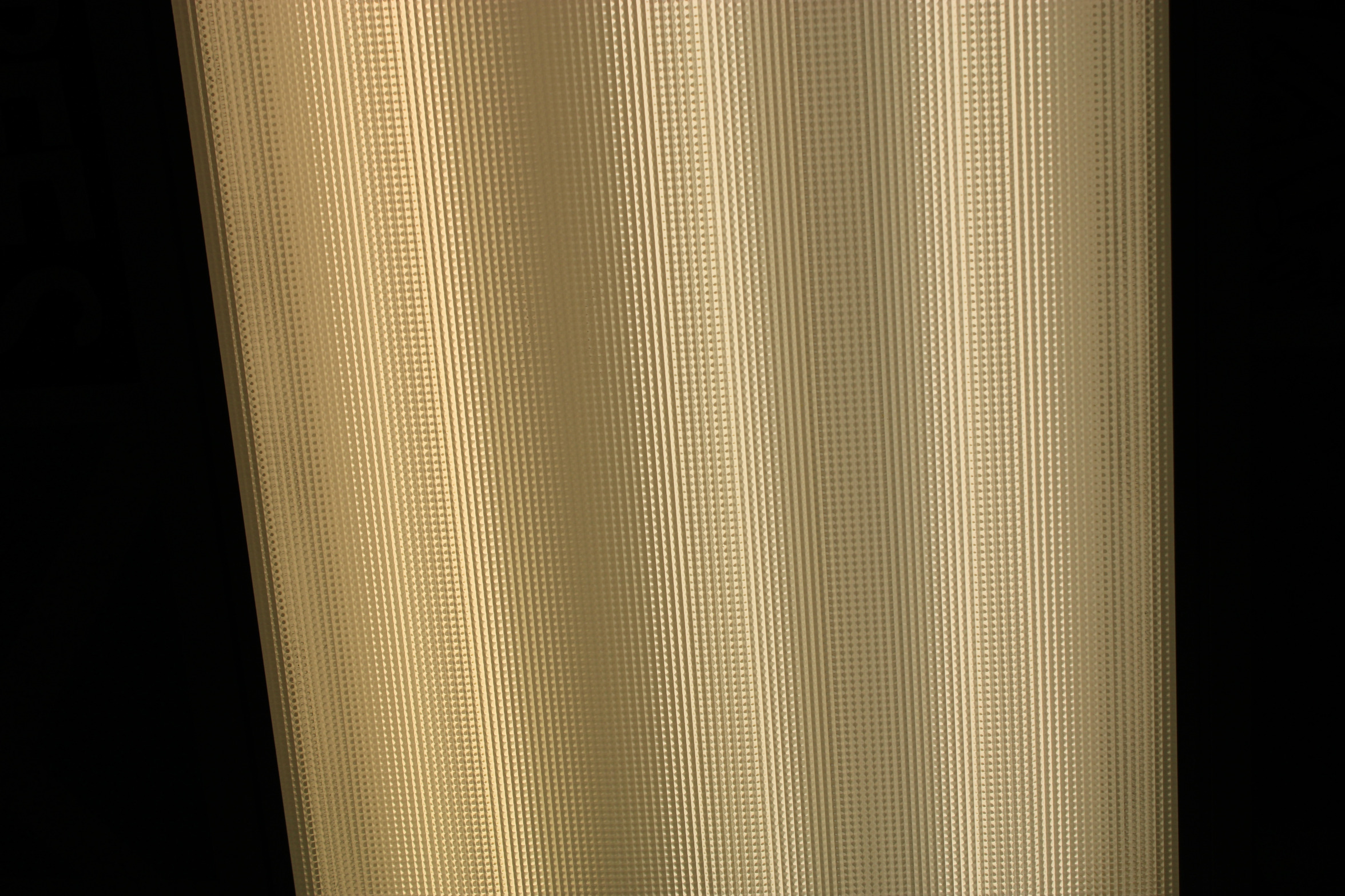 Lisa Troiano Blank Meme Template