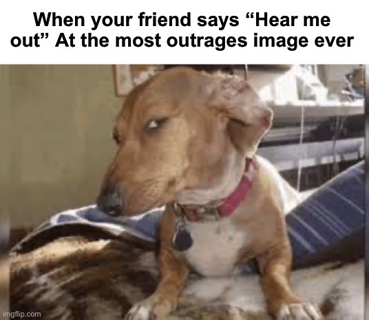 Hear me out | When your friend says “Hear me out” At the most outrages image ever | image tagged in memes,funny,dogs | made w/ Imgflip meme maker