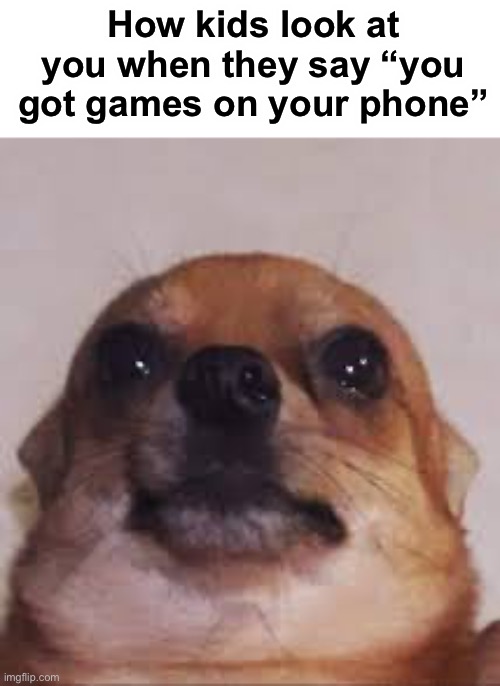 You got games on your phone? | How kids look at you when they say “you got games on your phone” | image tagged in memes,funny,dogs,gaming | made w/ Imgflip meme maker