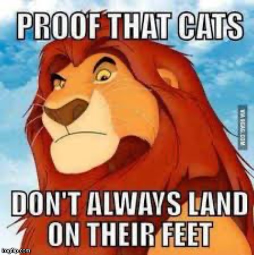 If you’v ever seen “The Lion King” then you will know | image tagged in memes,funny,dark humor,disney,lion king | made w/ Imgflip meme maker