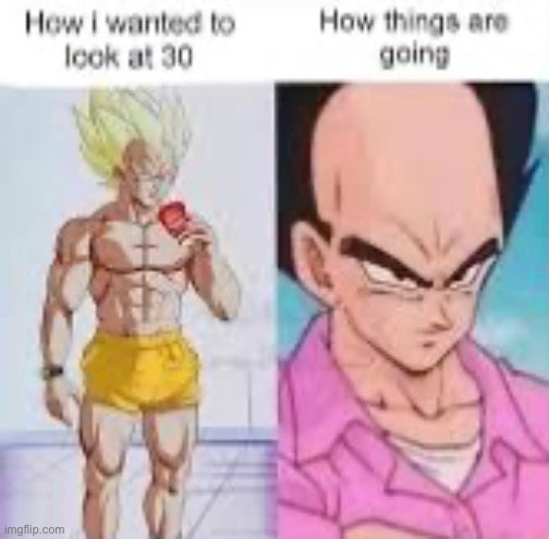 Imagine having that vegeta hairline | image tagged in memes,funny,anime,dragon ball z | made w/ Imgflip meme maker