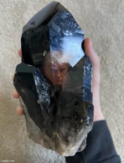 just trapped trump, what do I do with him | made w/ Imgflip meme maker
