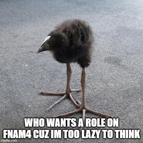 Pukeko chick | WHO WANTS A ROLE ON FNAM4 CUZ IM TOO LAZY TO THINK | image tagged in pukeko chick | made w/ Imgflip meme maker