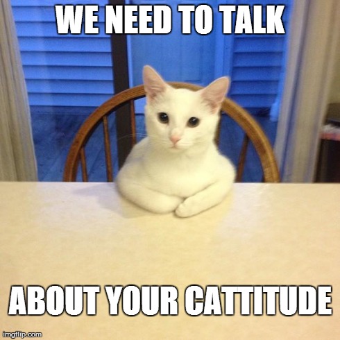 WE NEED TO TALK ABOUT YOUR CATTITUDE | image tagged in we need to talk,AdviceAnimals | made w/ Imgflip meme maker