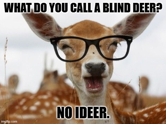 Daily Bad Dad Joke 03/03/2025 | WHAT DO YOU CALL A BLIND DEER? NO IDEER. | image tagged in deer glasses | made w/ Imgflip meme maker