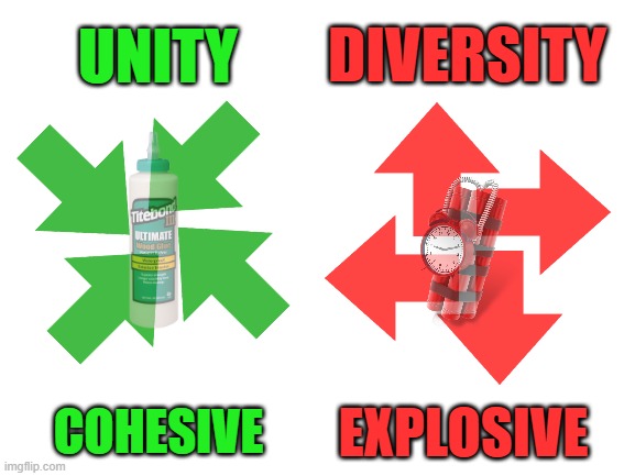 A Brief Study of Our Strengths | DIVERSITY; UNITY; COHESIVE; EXPLOSIVE | image tagged in blank white template,unity,diversity | made w/ Imgflip meme maker