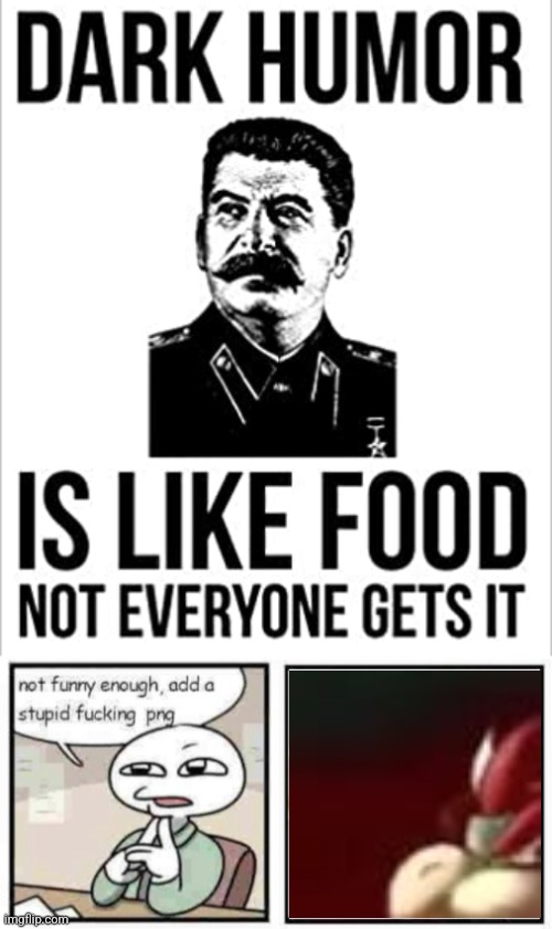 ㅤ | image tagged in dark humor is like food not everyone gets it,stupid fucking png | made w/ Imgflip meme maker