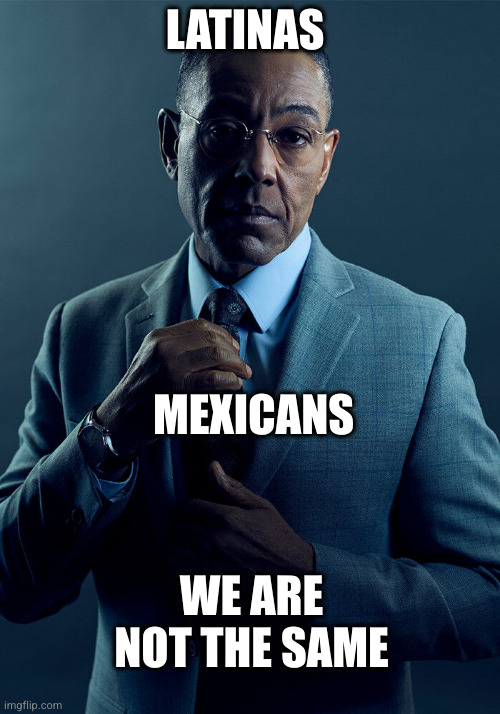 Gus Fring we are not the same | LATINAS MEXICANS WE ARE NOT THE SAME | image tagged in gus fring we are not the same | made w/ Imgflip meme maker