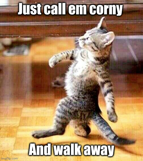 Cat Walking Away | Just call em corny And walk away | image tagged in cat walking away | made w/ Imgflip meme maker