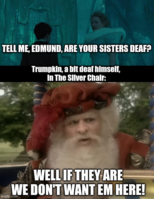 I always laughed at that part. | TELL ME, EDMUND, ARE YOUR SISTERS DEAF? Trumpkin, a bit deaf himself, 
in The Silver Chair:; WELL IF THEY ARE WE DON'T WANT EM HERE! | image tagged in narnia | made w/ Imgflip meme maker