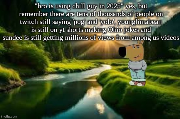 chill guy | "bro is using chill guy in 2025" yes, but remember there are tens of thousands of people on twitch still saying 'pog' and 'yolo', younglimabean is still on yt shorts making Ohio jokes and sundee is still getting millions of views from among us videos | image tagged in chill guy | made w/ Imgflip meme maker