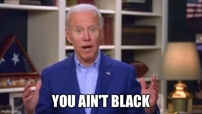 Joe Biden You Ain't Black | YOU AIN'T BLACK | image tagged in joe biden you ain't black | made w/ Imgflip meme maker