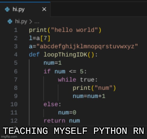 I wouldn't be doing this if Alan Becker didn't make animation vs coding | TEACHING MYSELF PYTHON RN | image tagged in coding,idk,cheeeeeeeese | made w/ Imgflip meme maker