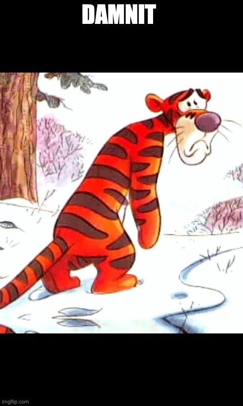 Sad tigger | DAMNIT | image tagged in sad tigger | made w/ Imgflip meme maker
