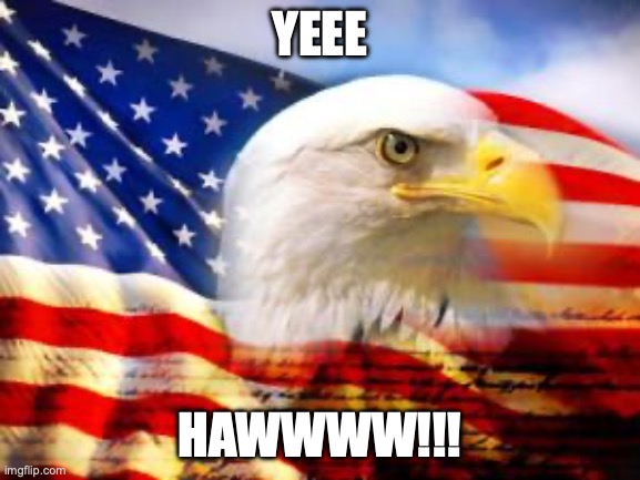 American Flag | YEEE HAWWWW!!! | image tagged in american flag | made w/ Imgflip meme maker