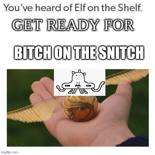 BITCH ON THE SNITCH | made w/ Imgflip meme maker