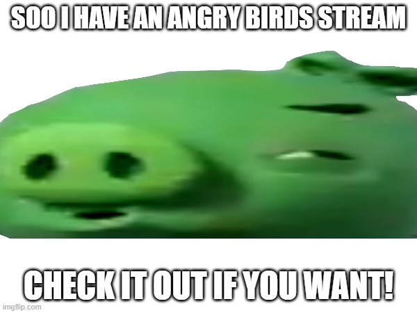 SOO I HAVE AN ANGRY BIRDS STREAM; CHECK IT OUT IF YOU WANT! | made w/ Imgflip meme maker