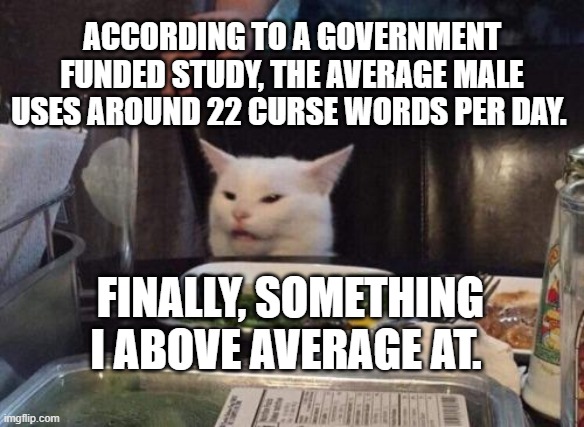 Curse words | ACCORDING TO A GOVERNMENT FUNDED STUDY, THE AVERAGE MALE USES AROUND 22 CURSE WORDS PER DAY. FINALLY, SOMETHING I ABOVE AVERAGE AT. | image tagged in smudge the cat | made w/ Imgflip meme maker