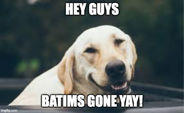 welp that was easy | HEY GUYS; BATIMS GONE YAY! | image tagged in evil smiling dog,memes,funny,dog,batim,yay | made w/ Imgflip meme maker