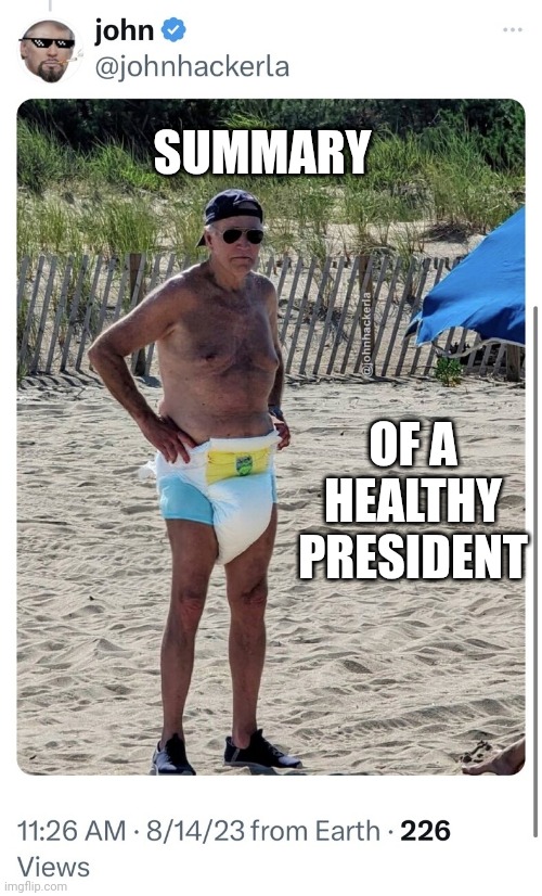 Joe Biden diaper beach | SUMMARY OF A HEALTHY PRESIDENT | image tagged in joe biden diaper beach | made w/ Imgflip meme maker