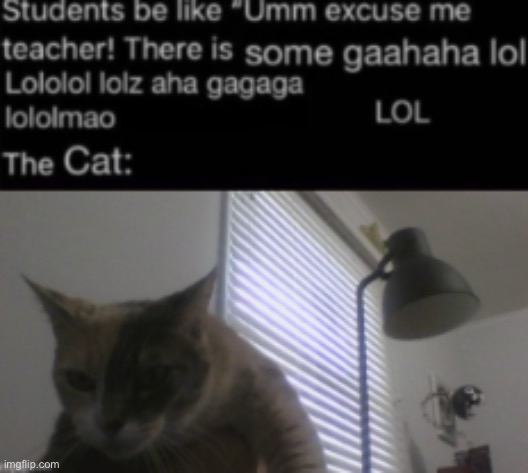 This was an old meme Jim made (I turned it into a temp) | image tagged in shidpost made by funkemonke5555555 | made w/ Imgflip meme maker