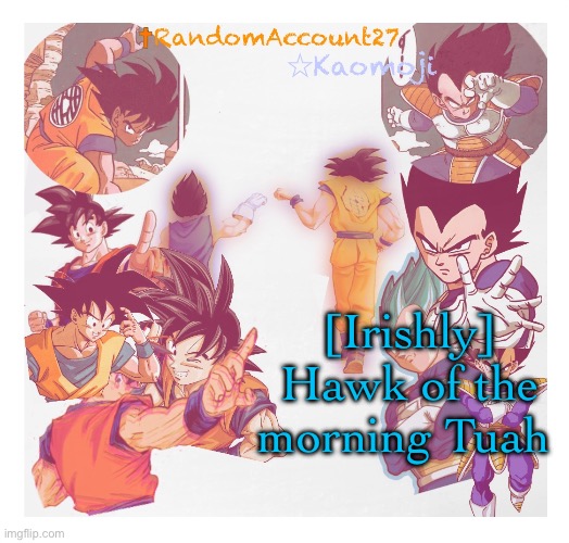 RandomAccount27 Template | [Irishly] Hawk of the morning Tuah | image tagged in randomaccount27 template | made w/ Imgflip meme maker