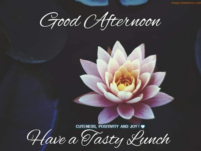 CUTENESS,  POSITIVITY  AND  JOY ! 🤍 | made w/ Imgflip meme maker