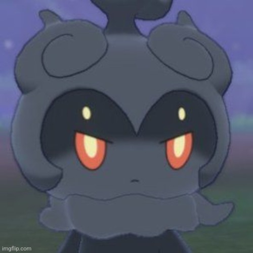 What's he mad about? (Wrong Answers Only) | image tagged in angry marshadow | made w/ Imgflip meme maker