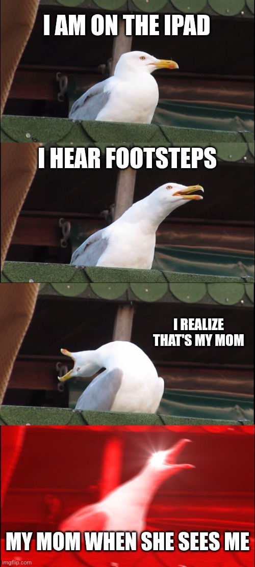 Inhaling Seagull | I AM ON THE IPAD; I HEAR FOOTSTEPS; I REALIZE THAT'S MY MOM; MY MOM WHEN SHE SEES ME | image tagged in memes,idk,i aem stupid | made w/ Imgflip meme maker