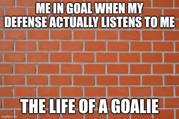 brick wall | ME IN GOAL WHEN MY DEFENSE ACTUALLY LISTENS TO ME; THE LIFE OF A GOALIE | image tagged in brick wall | made w/ Imgflip meme maker